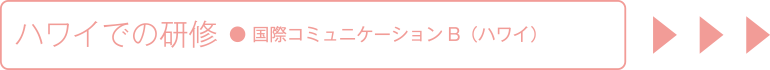 ハワイでの研修　国際コミュニケーションB　ハワイ